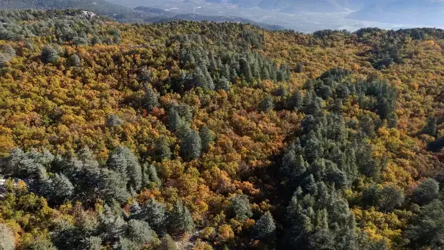 Dünyada bir tek Isparta'da var! İzinsiz girmenin cezası bir servet değerinde