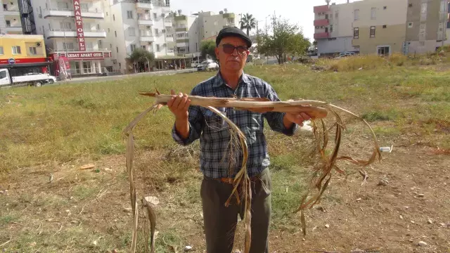Yer altı suyunun üstünden geçtiğinde elektrik çarpmışa dönüyor: Ben yapmıyorum Cenabıallah'ın işi