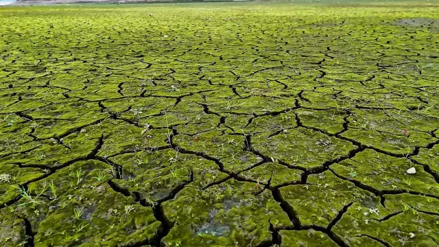 İstanbul barajları ve su rezervleri