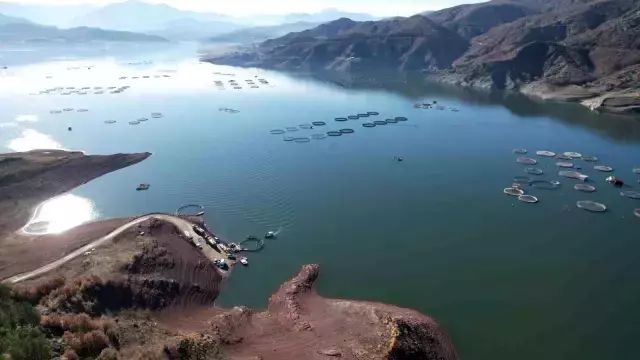 Denizi olmayan Tokat'ın somonları dünya sofralarına ulaşıyor