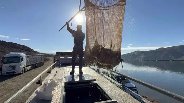 Denizi olmayan Tokat'ın somonları dünya sofralarına ulaşıyor