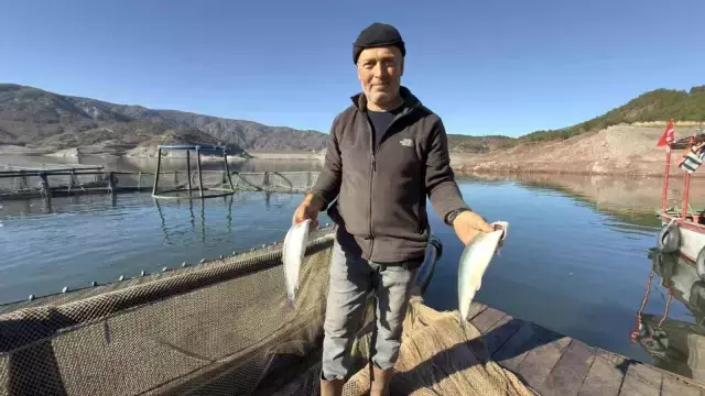 Denizi olmayan Tokat'ın somonları dünya sofralarına ulaşıyor