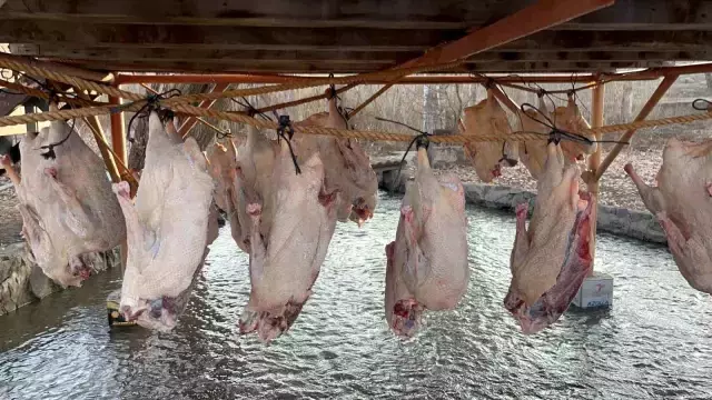 Bölge halkının yüzünü güldüren dönem geldi: Tanesini 6 bin liraya satıyorlar