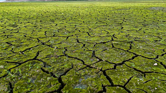 Bakan Yumaklı'dan endişelendiren sözler: İki büyük tehlike bizi bekliyor