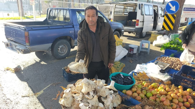 Aydın'daki dev mantarlar pazarda ilgi odağı oldu