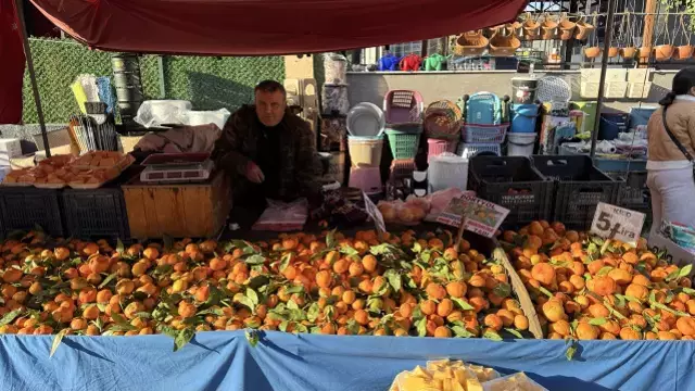 En ucuz meyve mandalina: Dalında 3, pazarda 5 lira