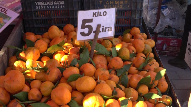 En ucuz meyve mandalina: Dalında 3, pazarda 5 lira
