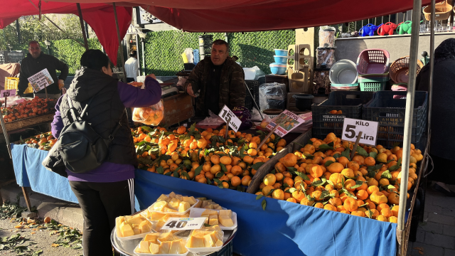 En ucuz meyve mandalina: Dalında 3, pazarda 5 lira