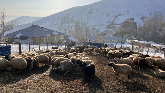 Kentin bir yanında dondurucu soğuk diğer yanında güneşli bahar havası hakim