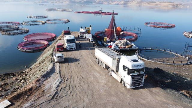 Bozkırın ortasında yetişti, Rusya ve Japonya yolcusu oldu