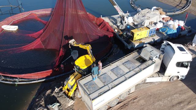 Bozkırın ortasında yetişti, Rusya ve Japonya yolcusu oldu