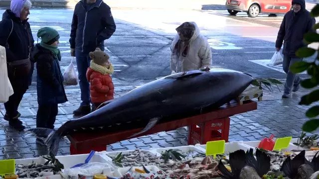 Düzce açıklarında bir gün sonra bu kez de 353 kiloluk orkinos yakalandı