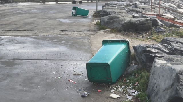 THY uçağı zorlu rüzgar şartlarına rağmen başarılı bir şekilde piste iniş yaptı