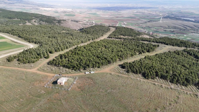 Vahşi cinayet zanlısı önce boğmuş sonra 2 gün art arda yakmış