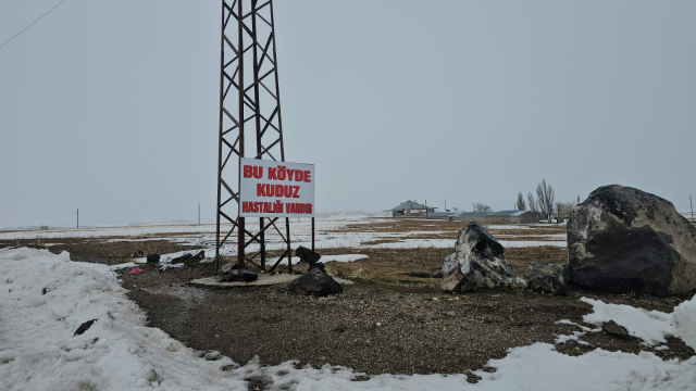 Adilcevaz'da kuduz vakası tespit edilen köy karantinaya alındı