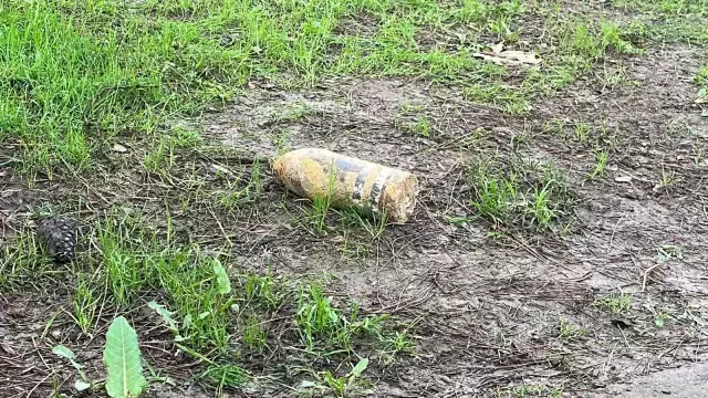 10 gün evinde sakladı, müzeye getirince kent ayağa kalktı! Surat ifadesi ve tavırlarına dikkat