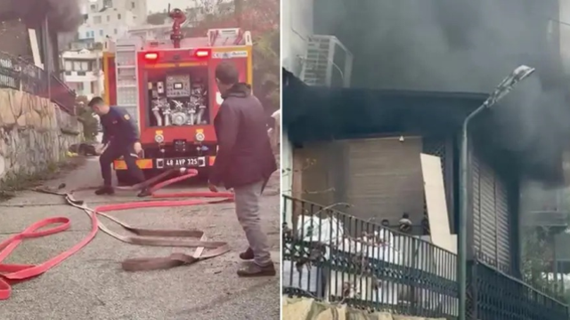 'Veganım' diyerek bir kova balığı denize döken kadın tanıdık çıktı