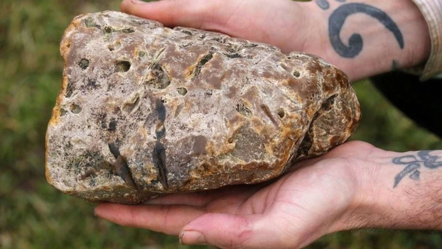 Sahillerde milyarlık hazine! Gören sıradan bir taş sanıyor, bulan köşeyi dönüyor