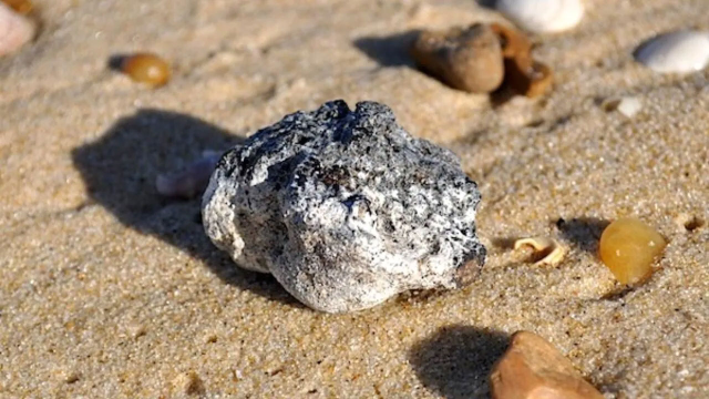 Sahillerde milyarlık hazine! Gören sıradan bir taş sanıyor, bulan köşeyi dönüyor