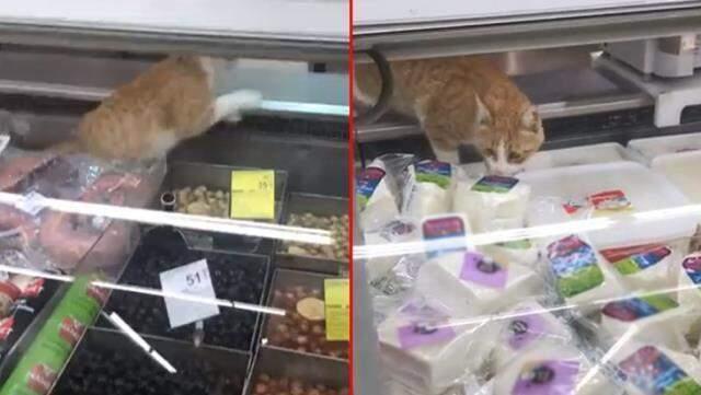 Zincir markette çekilen görüntüler vatandaşı isyan ettirdi: Kesilen cezaları bize yansıtıyorlar