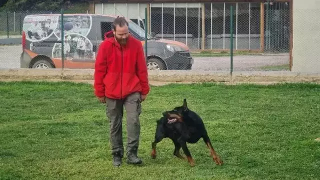 Köpek saldırısından kaçınmak için birinci kural: Kesinlikle göz teması kurmayın