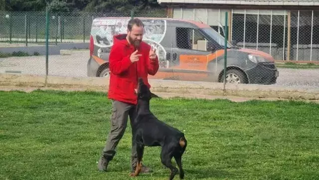 Köpek saldırısından kaçınmak için birinci kural: Kesinlikle göz teması kurmayın