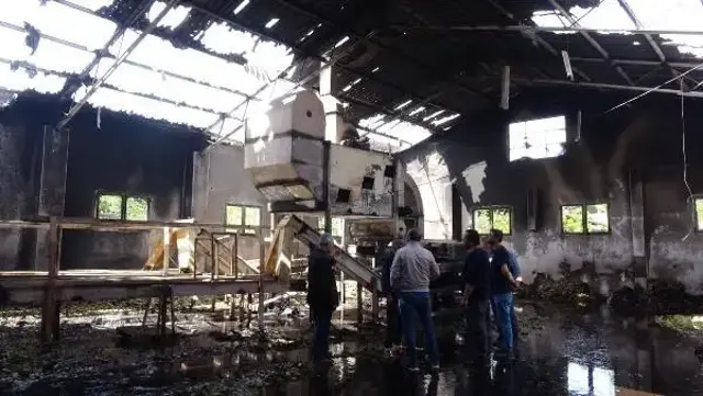 'Kuşum kaçtı' diyerek çatısına çıktığı fabrikayı benzin döküp yaktı