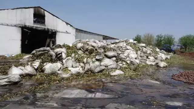 'Kuşum kaçtı' diyerek çatısına çıktığı fabrikayı benzin döküp yaktı