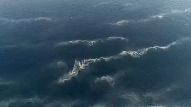 Korkutan görüntü; müsilaj her geçen dakika artıyor