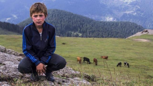 Milyoner'de şehit Eren Bülbül'le ilgili soruda zor anlar yaşayan Kenan İmirzalıoğlu: Hepimizin kalbini yaktılar