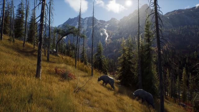 Way of the Hunter sistem gereksinimleri neler? Way of the Hunter kaç GB?