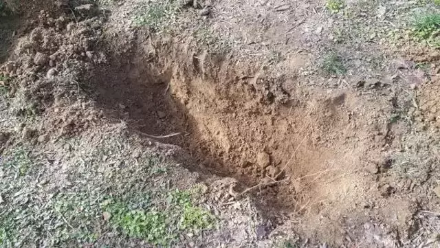 Üçlü ilişki sırasında sevgilisine sert davranan adamı öldürmüştü, savunması pes dedirtti