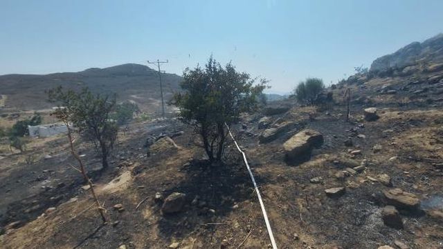 Bodrum''daki makilik yangını kontrol altına alındı