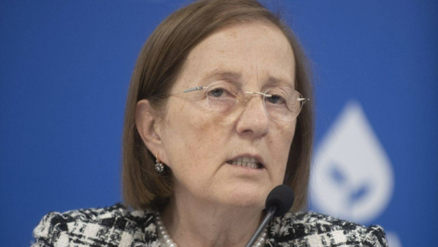 Selma Aliye Kavaf kimdir? Eski Bakan Selma Aliye Kavaf kaç yaşında ve nereli?