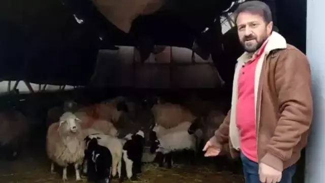 Esrarengiz olay! Aynı şeyi dakikalarca hep birlikte yaptılar