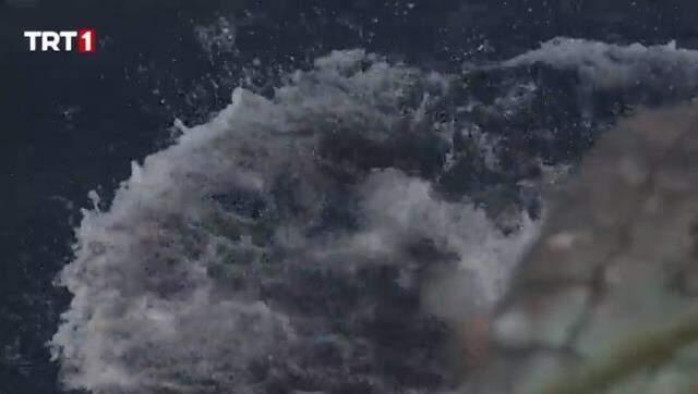 Bizim Köyün Kızları'nda büyük panik! Yarışmacı bir anda denize düştü