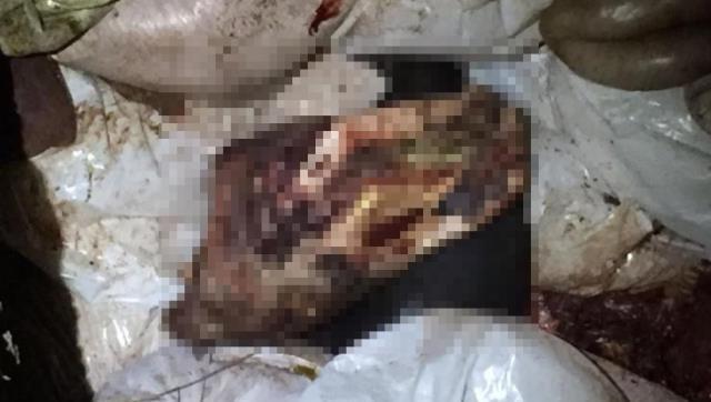 Bunları insanlara yedireceklerdi! Çürümeye yüz tutmuş 3 bin 660 kilo at eti ele geçirildi