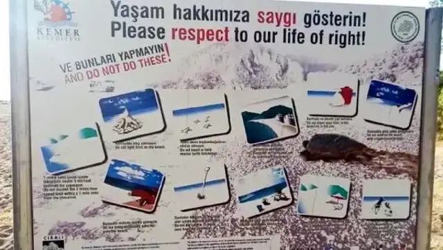 Yaz geldi, plajda yürürken 109 bin TL'nizden olmayın! Caretta caretta yasağına dikkat