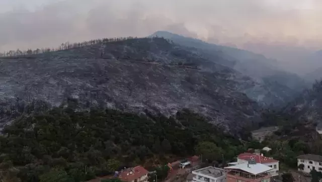 Bursa'da Orman Yangınında Kadın Alevlerin Arasında Kaldı
