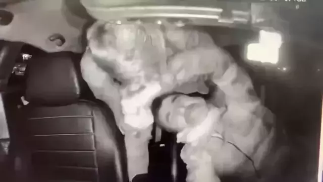 Taksiciyi darp eden İngiliz boksör hakim karşısına çıktı