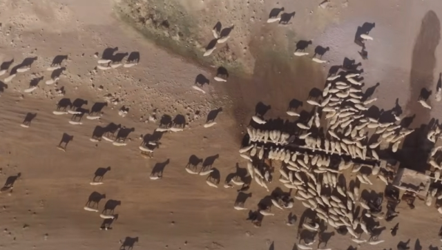 Sevdiğim Sensin Gözlütepe köyü nerede, Gözlütepe kasabası gerçek mi?