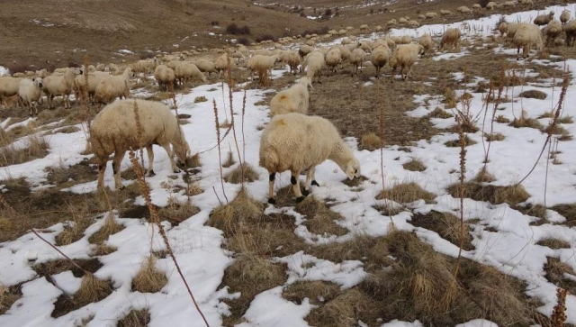 Babasına kızıp girdiği işte paraya para demiyor: Memur olsaydım bu kadar kazanazmadım