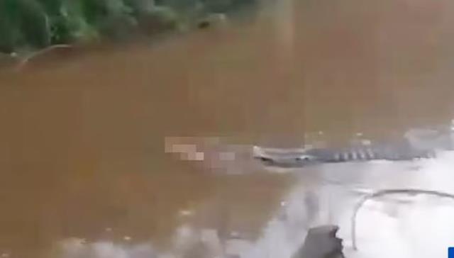 Nehirden aniden fırlayan timsah, balıkçıyı ikiye böldü! Ağzındaki kemiklerle ağır ağır uzaklaştı