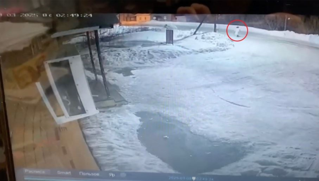 Ayı saldırısına uğrayan kadından geriye sadece kafası kaldı