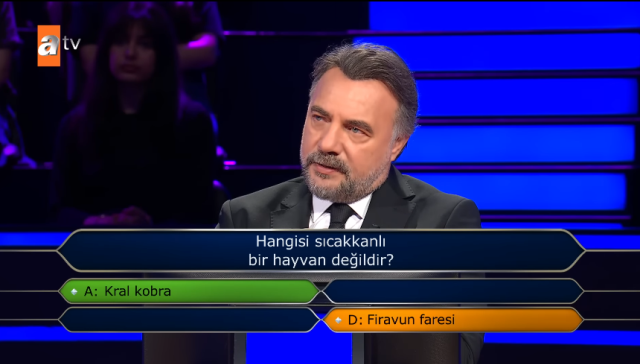 Hangisi sıcakkanlı bir hayvan değildir?