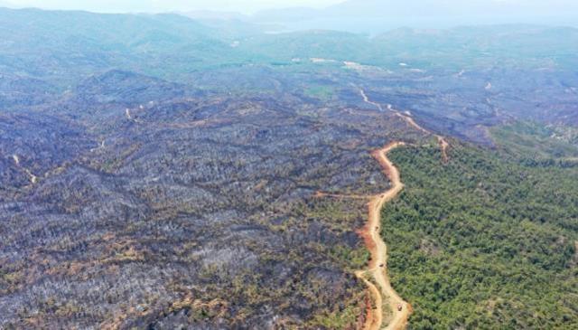 Günler sonra kontrol altına alınan Marmaris yangınında emniyet şeridi etkili oldu