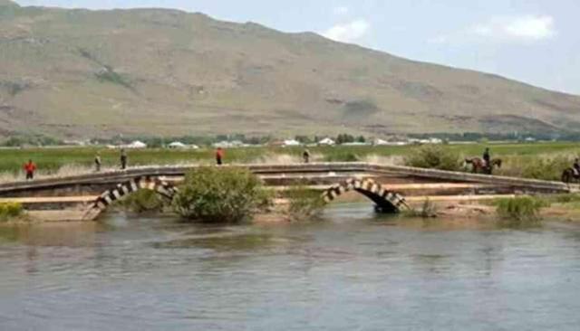 Jandarmadan 'Kefal' devriyesi! 58 ton ölü inci kefali balığı ele geçirildi