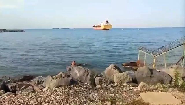 Balıkçı ağına takılan şok etti! Gemiden kaçıp karaya yüzdü