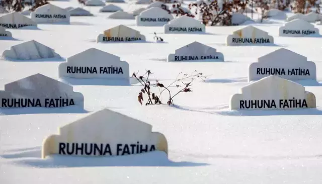 Alaska değil Türkiye! -30'da ölümün soğuk yüzü