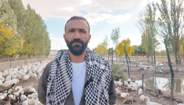 Çiftlikteki kanatlı hayvanlar
